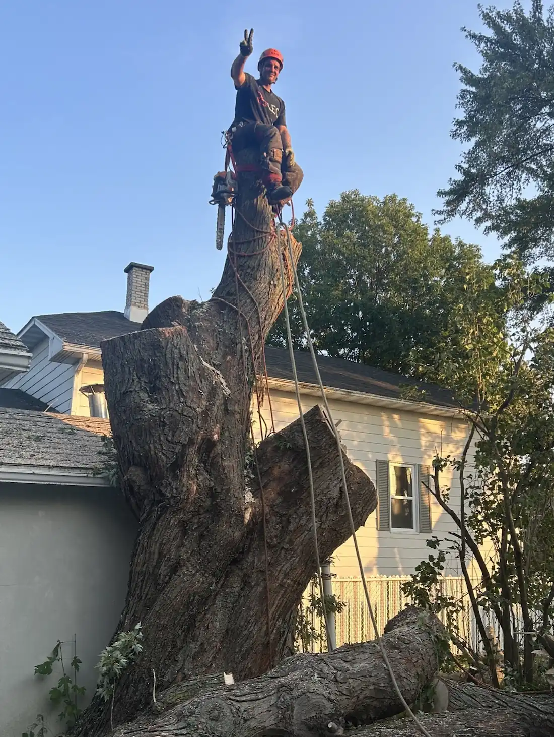 Résultat final: terrain propre après abattage d'arbre à Victoriaville